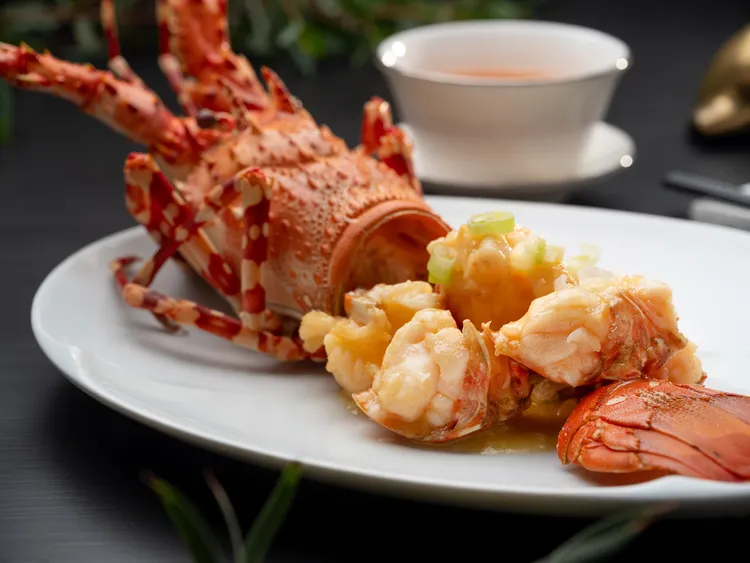 「上湯焗龍蝦伊麵」3920元+10%，演繹粵式筵席中常見的招牌菜式，主廚選用澎湖鮮美龍蝦，以金華火腿與老母雞熬製上湯焗煨，搭配燉煮入味的伊麵襯於底部，完美保留豐美的鹹鮮層次。台北文華東方酒店提供
