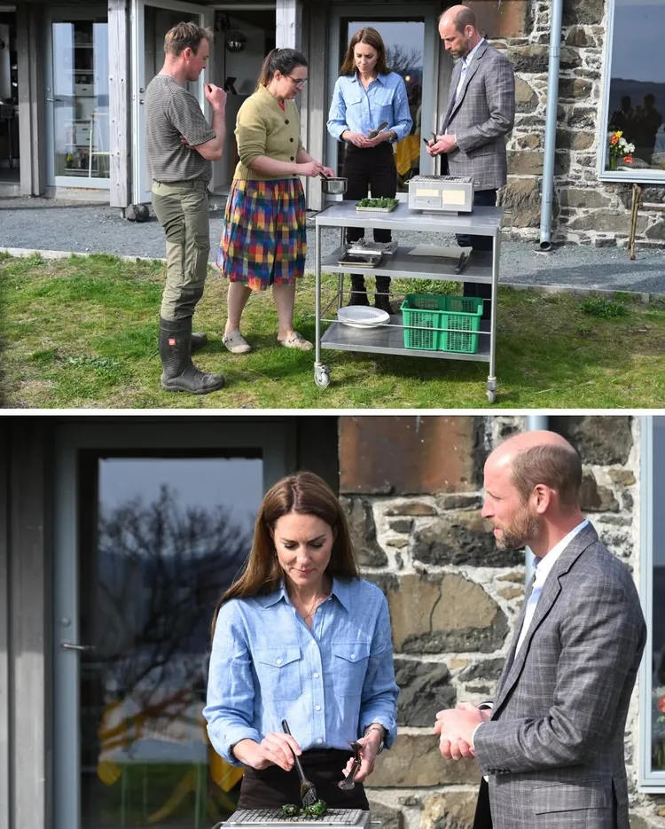 他們在戶外烤架上親手烹調以甜菜葉包裹的自製哈吉斯。翻攝IG