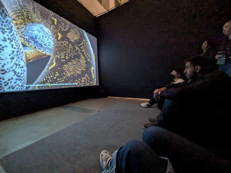 「台灣錄像播映選—交織的時間軸」吸引眾多觀眾參觀欣賞，深獲好評。葉佳蓉提供