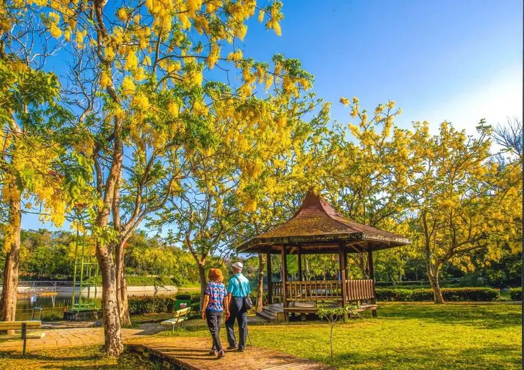 阿勃勒賞花的景點虎頭埤風景區，今年將推出超慢跑活動。南市觀旅局提供 