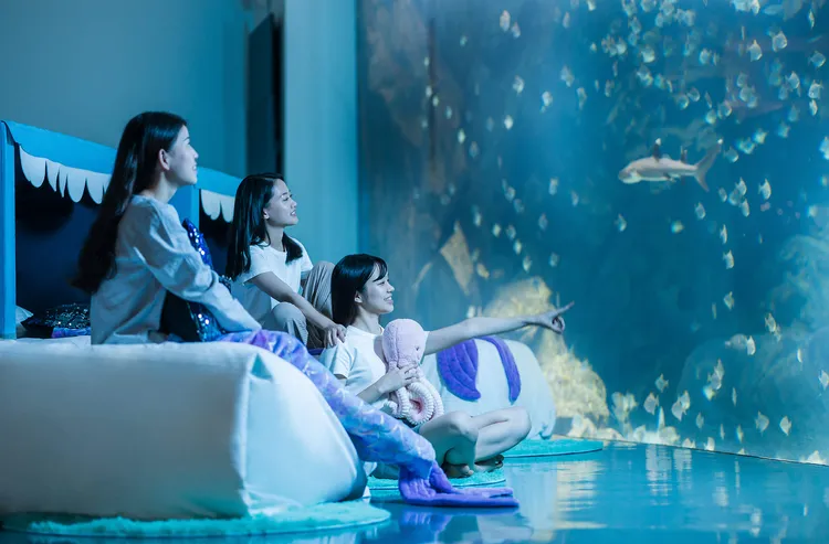 線上旅展推出入住水族館等體行程。國泰飯店觀光事業提供
