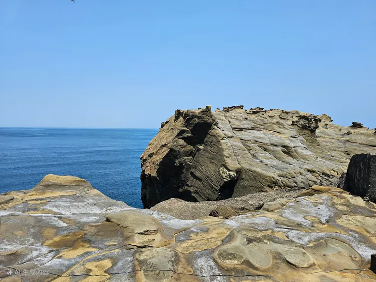 可愛的水豚君岩。漁業處提供