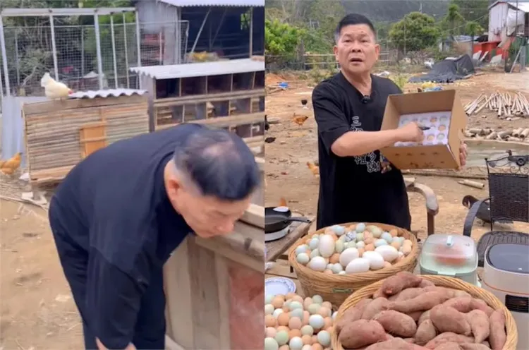 澎恰恰曾在養雞場開直播賣土雞蛋、地瓜，拚命還債，白髮頭部頂端隱約出現「一片粉色」。翻攝澎恰恰抖音