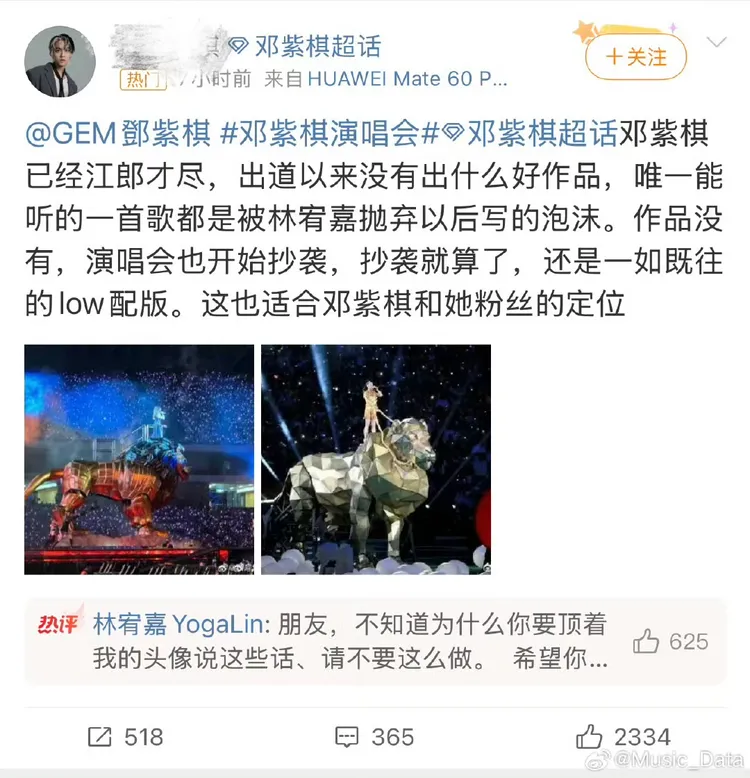 有使用林宥嘉照片的隊友留言攻擊鄧紫棋。圖／摘自微博