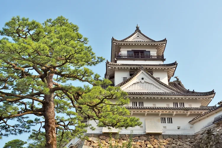 團體旅客在日韓旅遊的興趣，從大城市轉向四國、日本東北、濟州島等富有文化深度的二線城市。業者提供