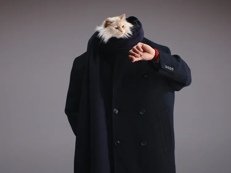 老佛爺愛貓Choupette拍攝HUBLOT全新廣告，被官方認證是「全新CEO」。品牌提供