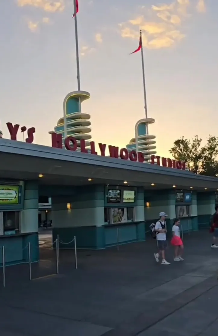 克雷格認為去迪士尼不值得。翻攝自TikTok