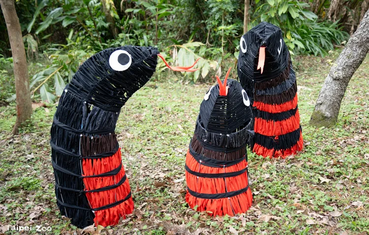 尋找園區裡的赤腹游蛇裝置藝術，合照後可至教育中心動物藝坊兌換獎勵。台北市立動物園提供