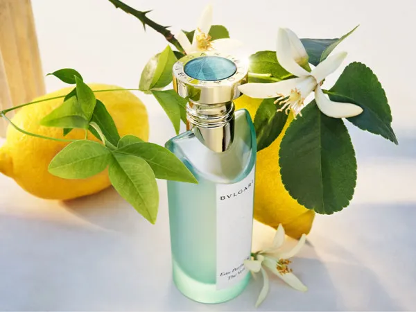 寶格麗綠茶中性淡香水，75ml／5100元。品牌提供