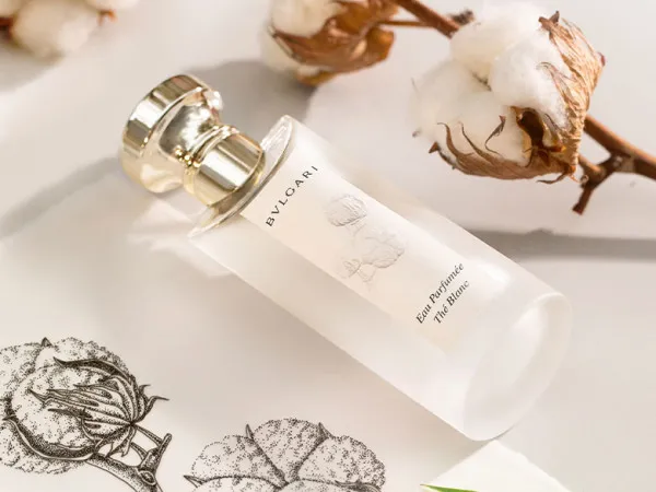 寶格麗白茶中性淡香水，75ml／5100元。品牌提供