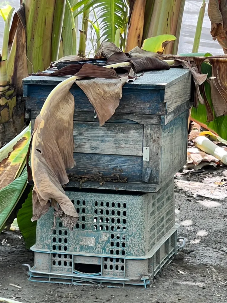 仁武與湖內警方在大樹區某工寮內查扣蜂箱。翻攝畫面