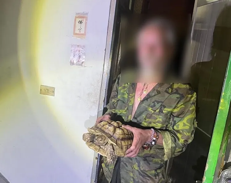柯男涉嫌偷走象龜。平鎮警分局提供