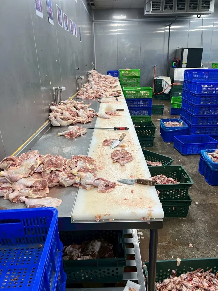 廠內堆放大量處理到一半的雞肉和刀具卻空無一人，氣氛相當詭譎。移民署提供