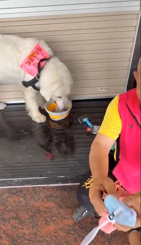 常如山沿途發送1萬個打詐環保袋。讀者提供