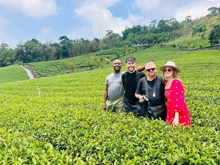 英國網紅團走訪阿里山著名高山茶園體驗。觀光署提供