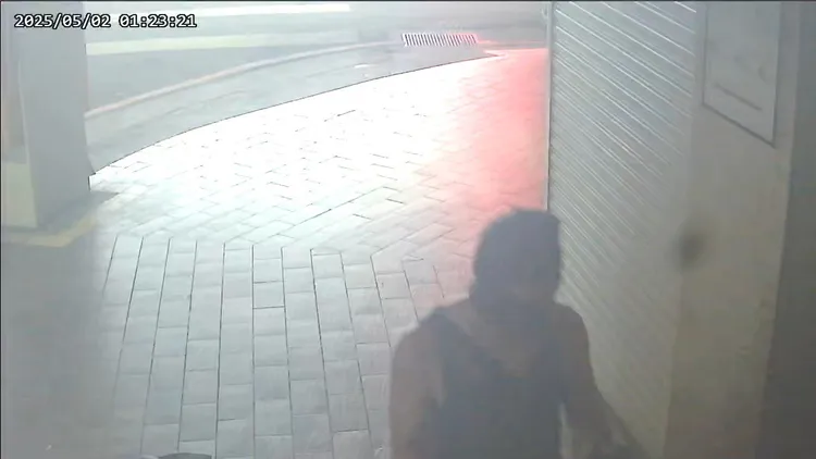 警方逮獲潑漆男子。警方提供