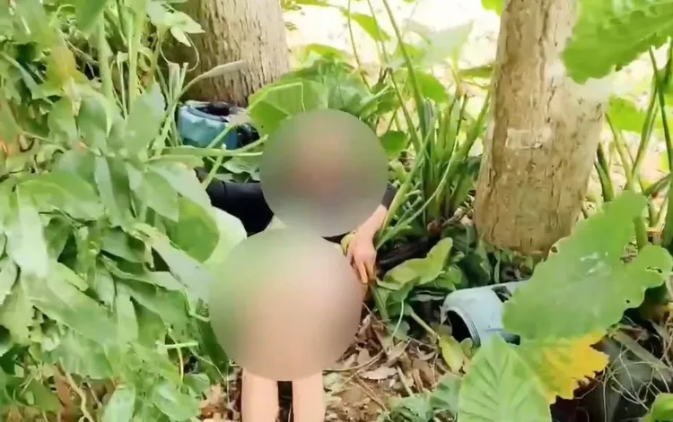 蔡姓老婦人躺在草叢中，意識模糊、身旁還有蒼蠅圍繞，差點沒命。翻攝照片