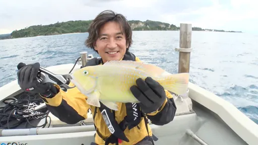 性騷?霸凌?國分太一到底幹了什麼 前《文春》記者爆料