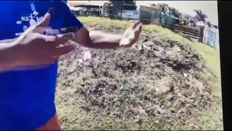 屏東恆春一處動物農場2隻水豚突然死亡，農場懷疑遭人下毒。翻攝畫面