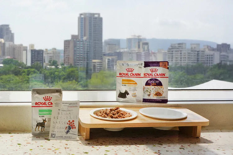 高雄英迪格酒店攜手法國皇家 今夏升級寵物友善 奢寵旅宿照護體驗。業者提供