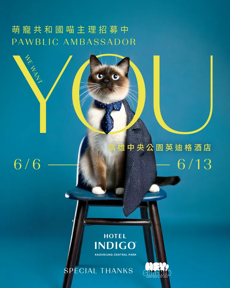 萌寵共和國品牌大使-喵主理網路招募活動熱烈展開中。業者提供