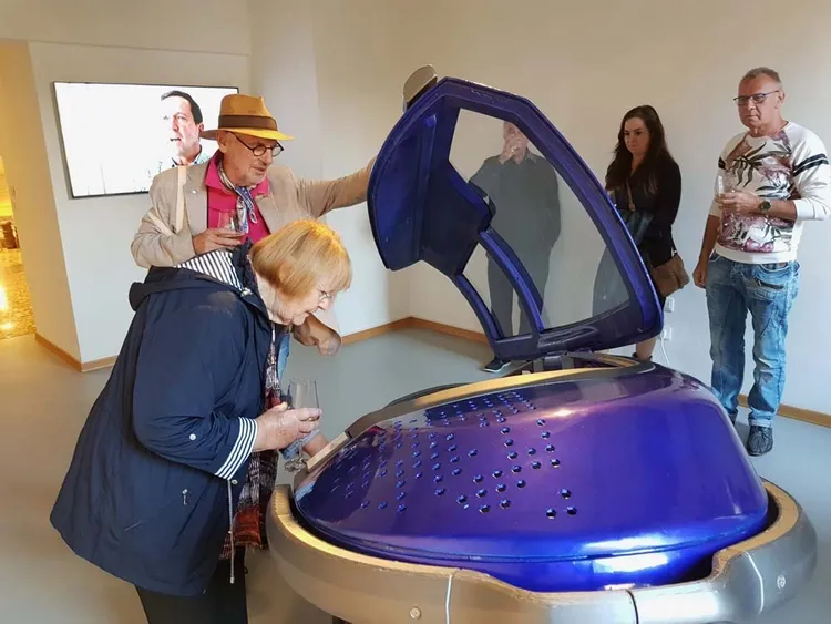 瑞士推出安樂死膠囊座艙，但外界看法不一。翻攝Sarco官網