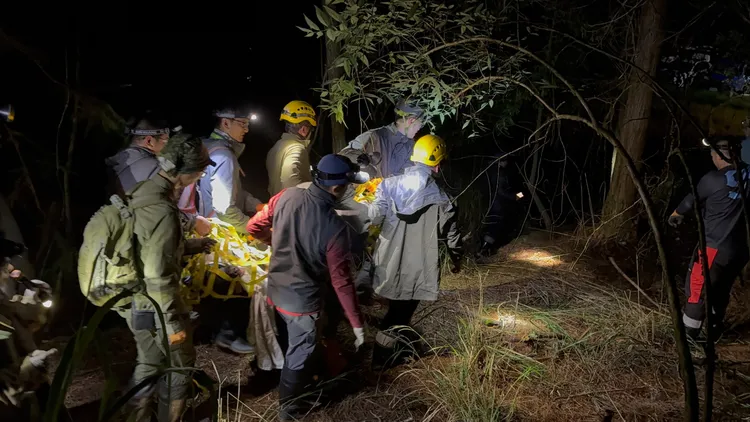 獸醫師將黑熊麻醉後，救援團隊合力搬運黑熊。林保署台中分署提供