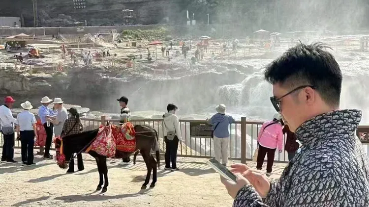 遊客投訴毛驢生殖器外露相當不雅。翻攝自微博