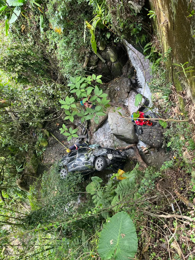 台籍女駕駛及德國籍女乘客自行從車內脫困。民眾提供