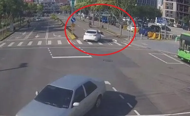 吳婦左轉時撞飛牽狗過馬路的馮女。民眾提供