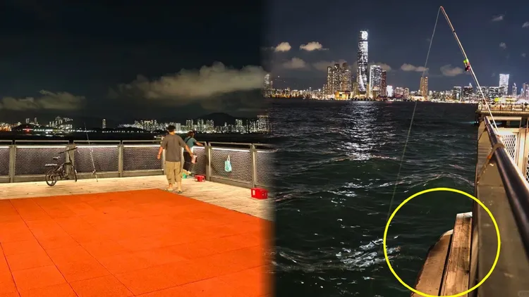 姜濤墜海地點有欄杆，民眾指他翻出欄杆坐在木板上（黃圈處），可能起身時不小心跌入海中。翻攝Seven在香港小紅書