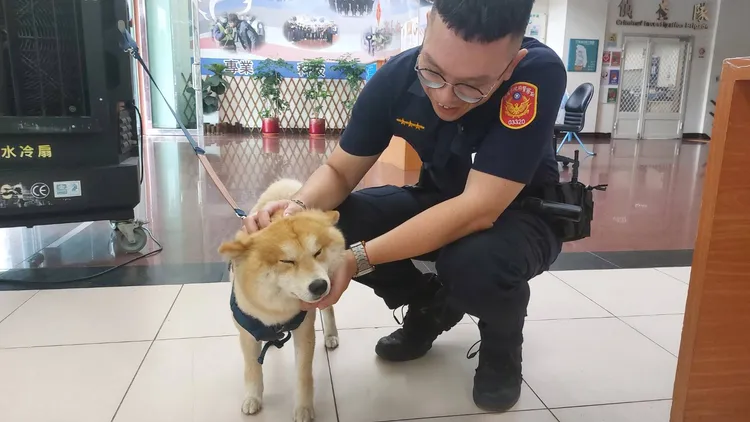 柴犬愛與波麗士大人親近。桃園警分局提供