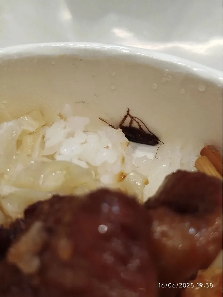 民眾指出，發現整隻蟑螂的台鐵便當，於高鐵左營站的台鐵便當販售處所購買。翻攝自thomaslai_0301.tw＠threads