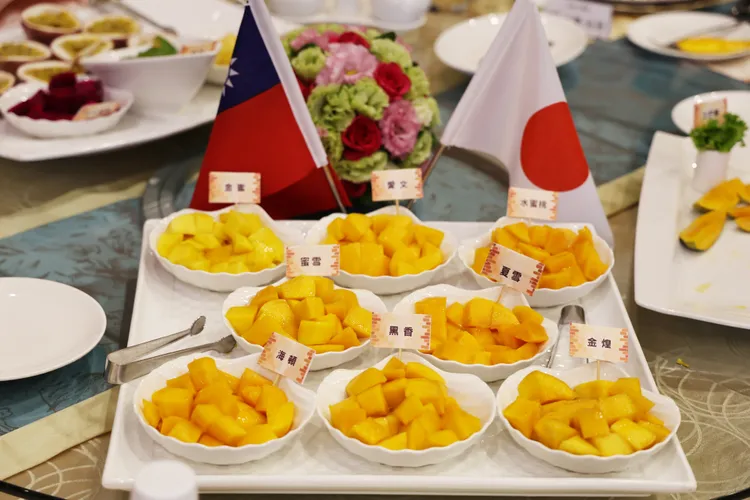 9個品種的現切芒果看起來令人食指大動。南市府提供