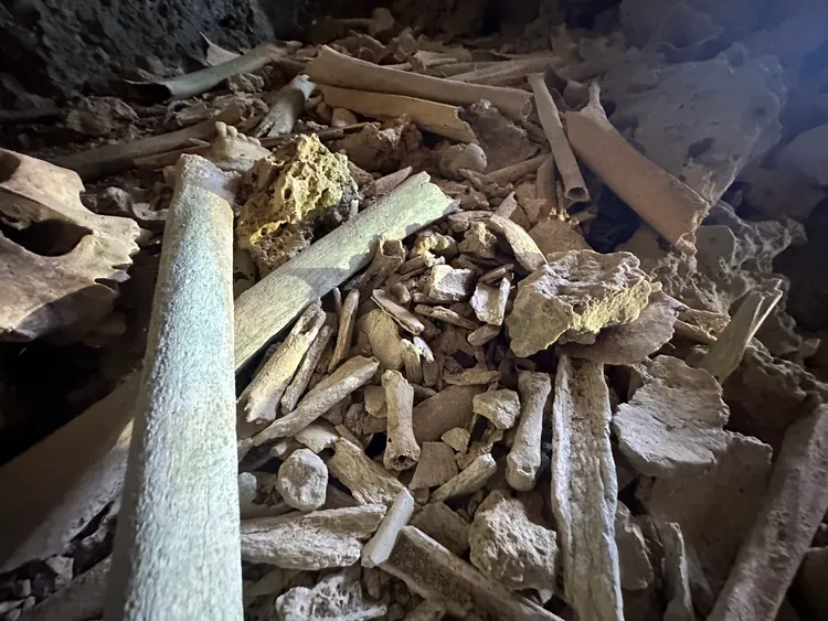 宋德威到琉球發現一處從未發現紀錄的二戰洞窟遺址，並尋獲多具遺骨。宋德威提供