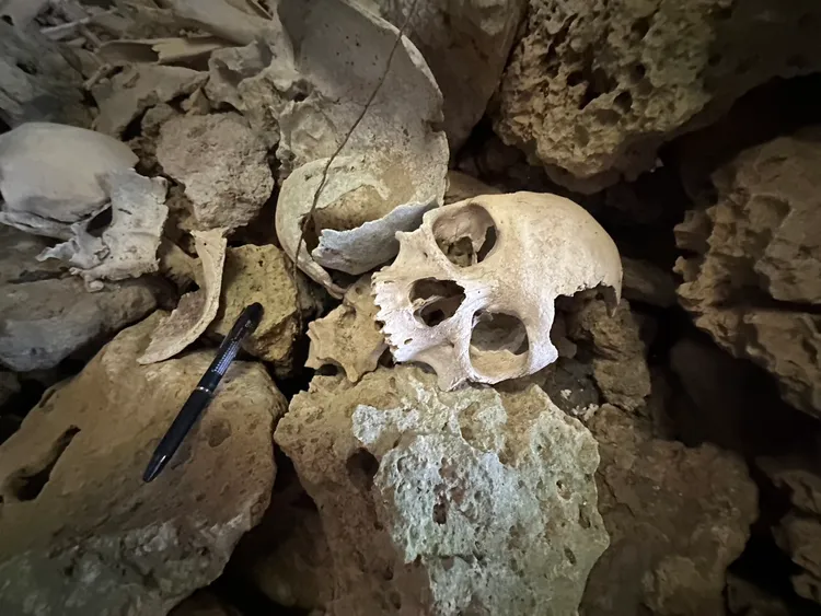 宋德威到琉球發現一處從未發現紀錄的二戰洞窟遺址，並尋獲多具遺骨。宋德威提供