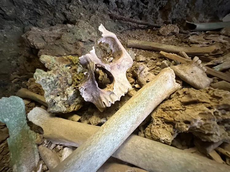 宋德威到琉球發現一處從未發現紀錄的二戰洞窟遺址，並尋獲多具遺骨。宋德威提供