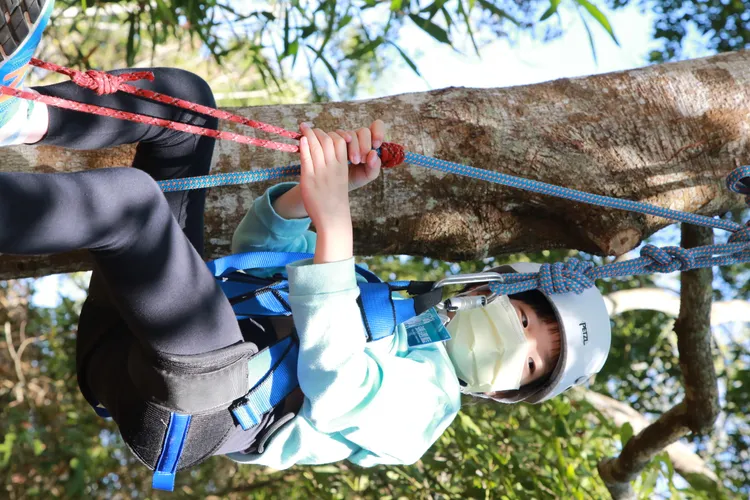 營隊還特別帶領小朋友體驗森林攀樹體驗的樂趣，運用肢體的協調性，一步一步的往樹冠慢慢接近。業者提供
