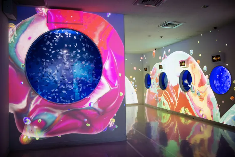 Sea of Fluid Jellyfish流光之境。業者提供