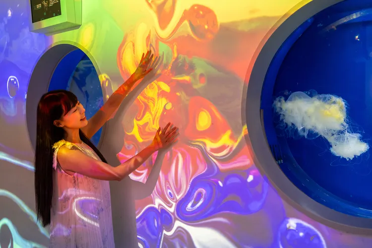 Sea of Fluid Jellyfish流光之境。業者提供