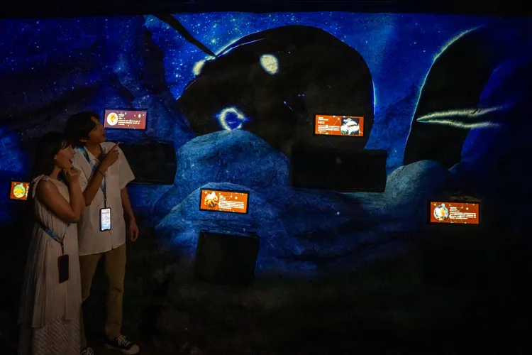 The Hidden Abyss幽暗之淵。業者提供