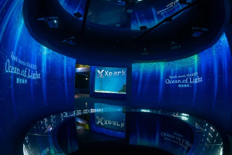 Ocean of Light 潛浸海洋。業者提供