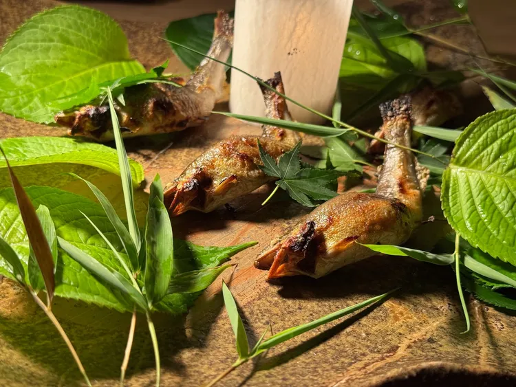 長岡主廚擺盤呈現新派日式美學，香魚藏身草本植物間，在盤中重現夏季溪流景象。豊漁餐飲集團提供