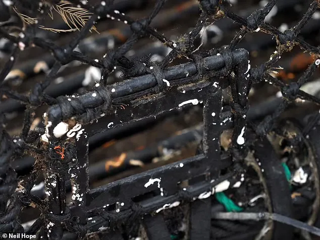 蟹籠的逃生孔，讓小隻的螃蟹和龍蝦有機會逃生《每日郵報》