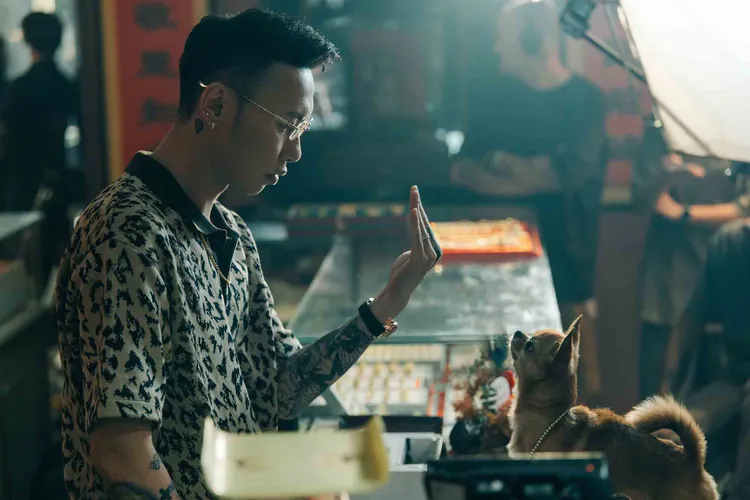 小春與吉娃娃對戲。本色音樂提供