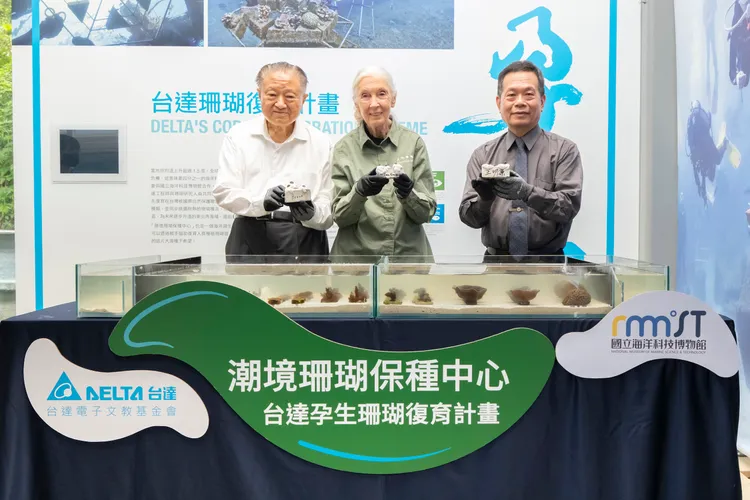 台達基金會攜手珍古德協會及海科館推廣珊瑚復育，(左至右)台達創辦人鄭崇華、珍古德博士與海科館館長王明源共同種下象徵希望的珊瑚苗。台達電提供