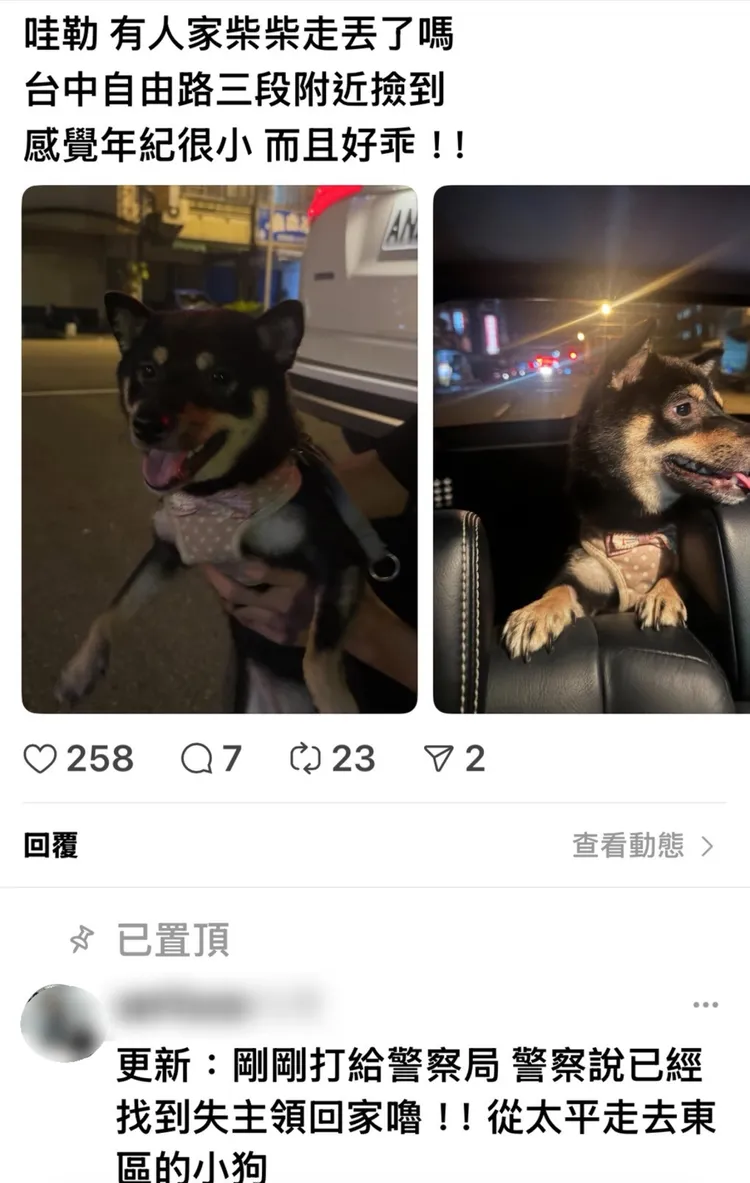 黑柴HAPPY從太平一路迷途到台中東區，幸好遇到熱心民眾通報警方，才得以平安返家。翻攝畫面