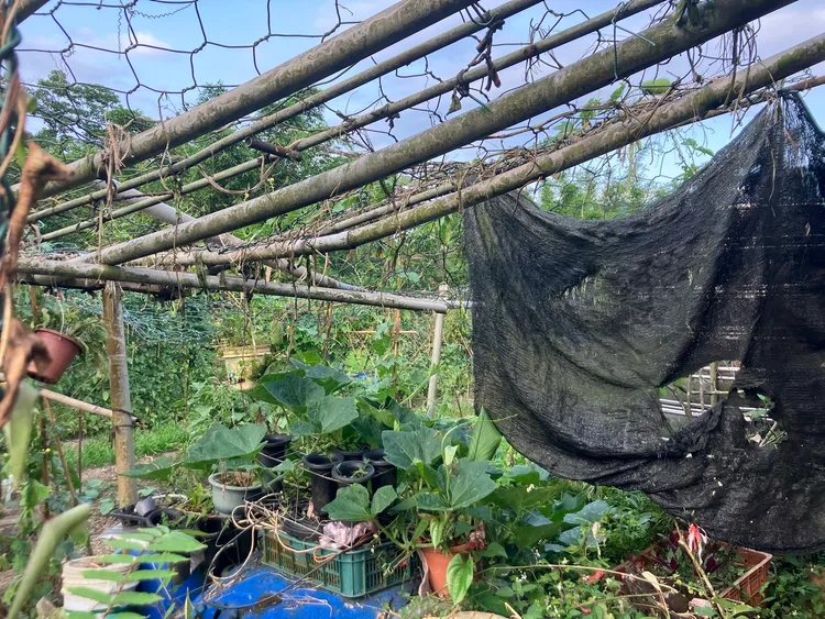 警消趕抵時發現婦人已無生命跡象，緊急送醫後已恢復心跳。翻攝照片