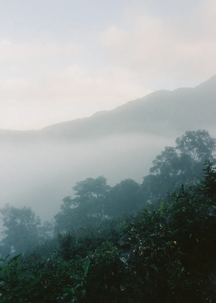 Perfumer H氤氳淡香精的創作靈感，來自雲南景邁山的霧氣繚繞。品牌提供