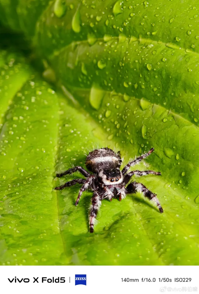 vivo釋出相機實拍照。vivo韓伯嘨微博